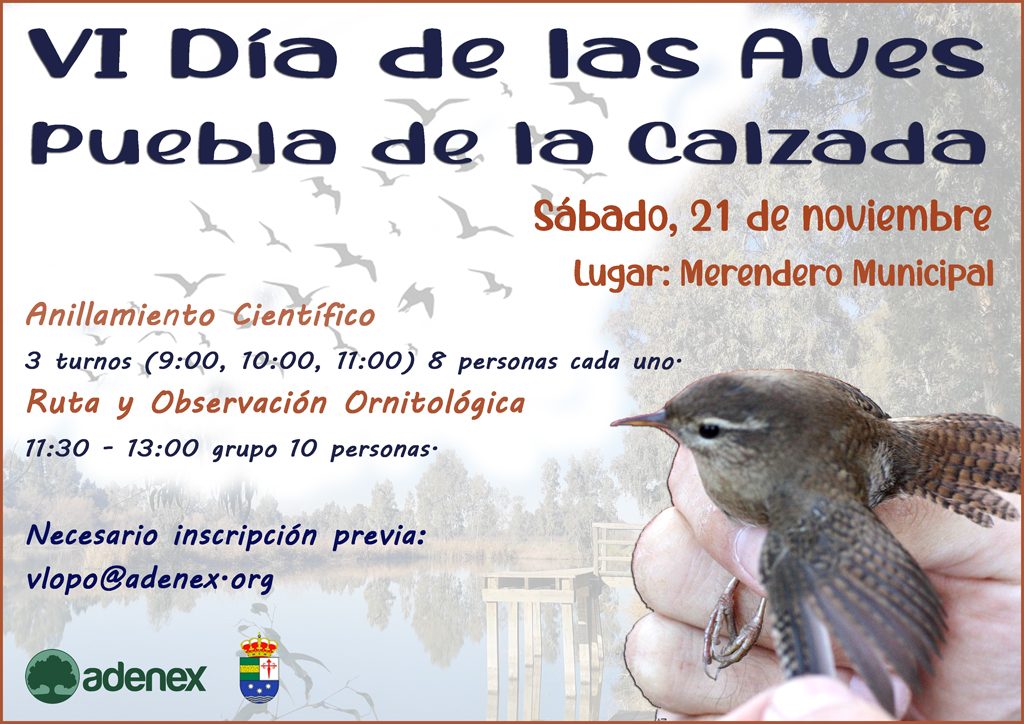 Cartel_VI_Da_de_las_Aves_Puebla